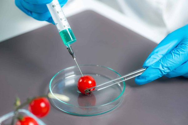 Quelle démarche légale un employeur doit-il réaliser pour modifier les contrats de travail en cas de changement de stratégie d'entreprise?